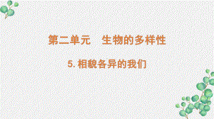 新教科版2022六年级科学下册2-5《相貌各异的我们》PPT课件.pptx