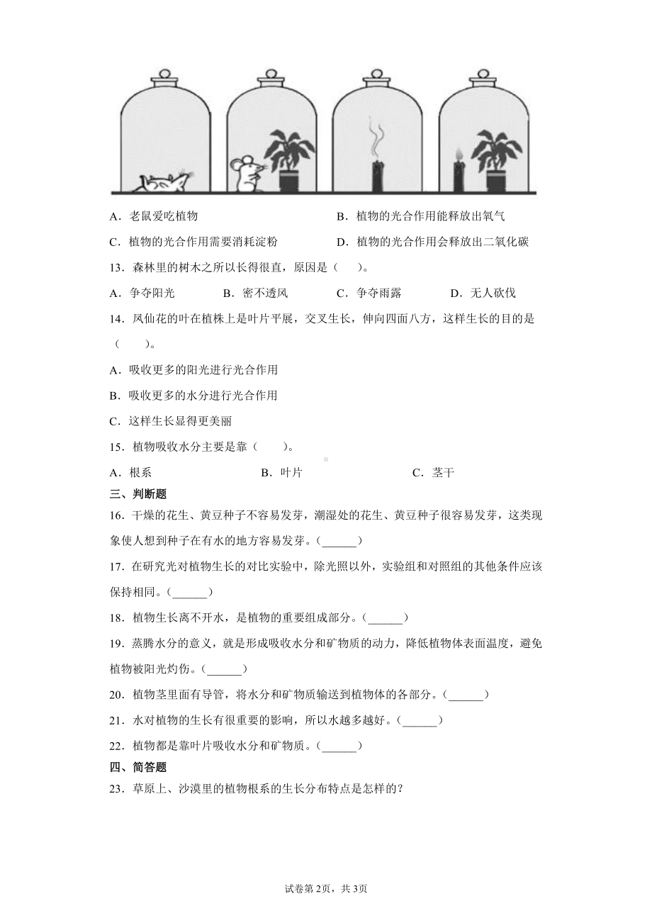 2021新粤教版五年级上册科学第一单元植物的需求检测卷（含答案）.docx_第2页