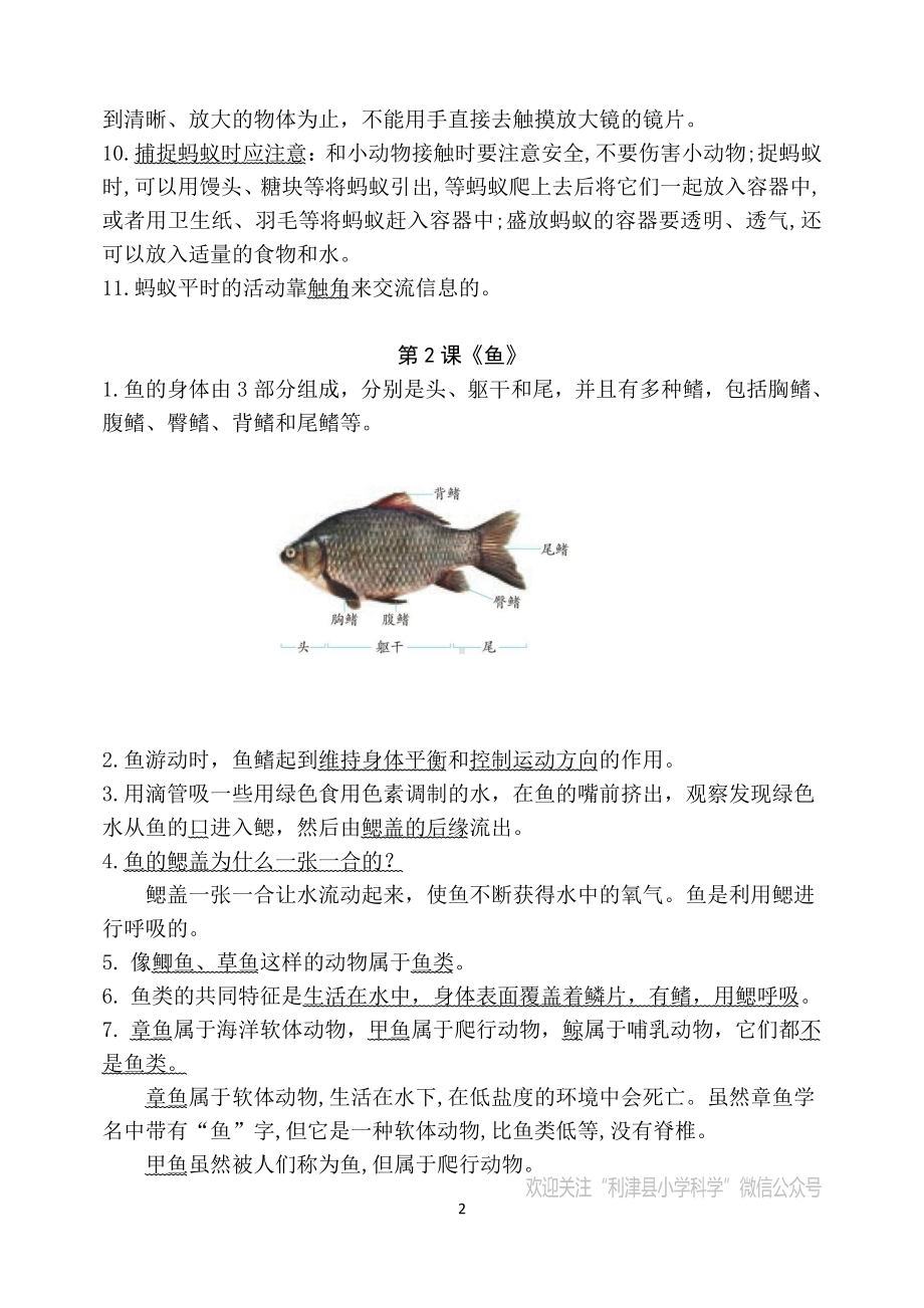 2021新青岛版（五四制）四年级上册科学第一单元动物王国必会知识点.docx_第2页