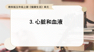 2021新教科版五年级上册科学 4.3《心脏和血液》ppt课件.pptx