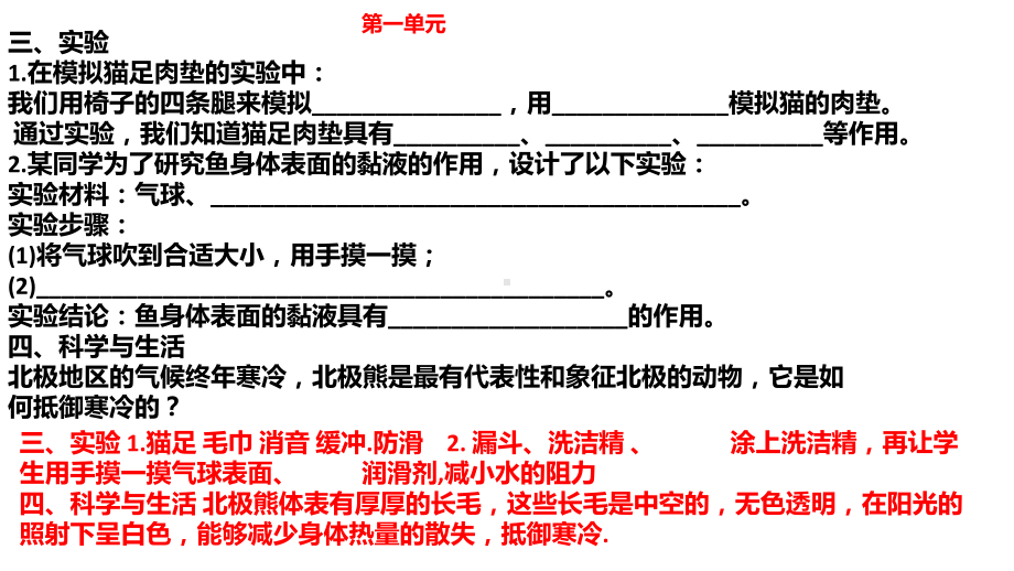 三年级上册科学全册试卷.-2021新青岛版（六三制）pptx_第2页