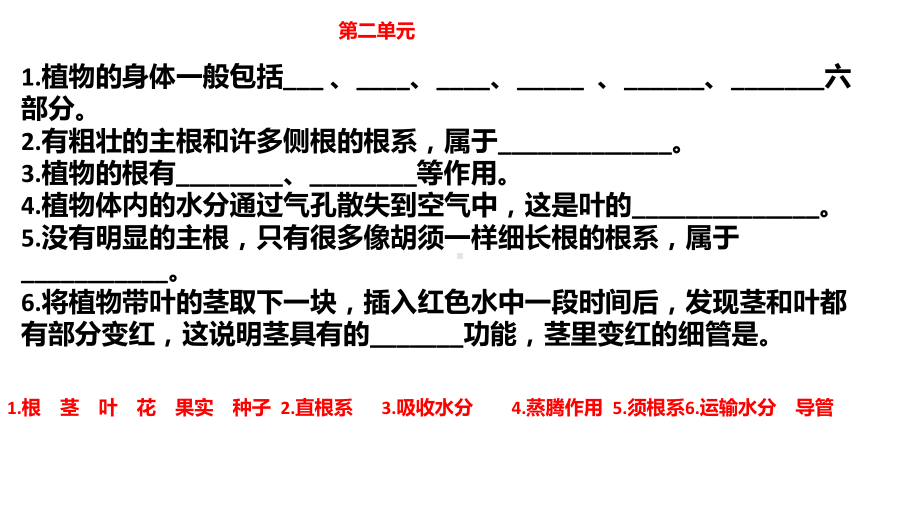 三年级上册科学全册试卷.-2021新青岛版（六三制）pptx_第3页