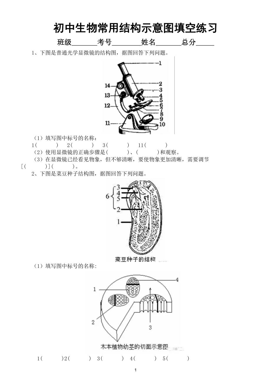 初中生物常用结构示意图填空练习（共24个必考内容）（附参考答案）.doc_第1页