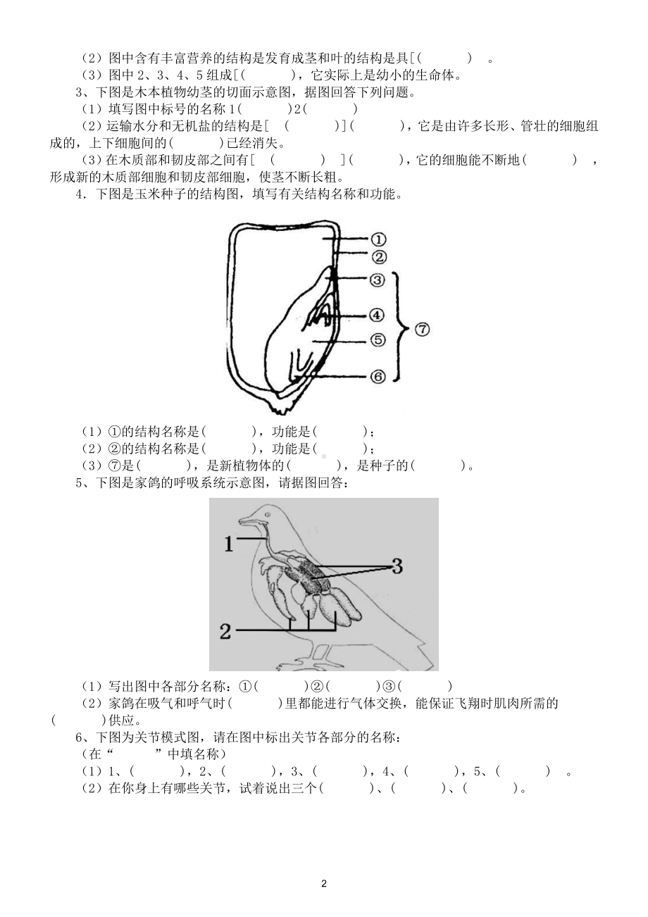 初中生物常用结构示意图填空练习（共24个必考内容）（附参考答案）.doc_第2页