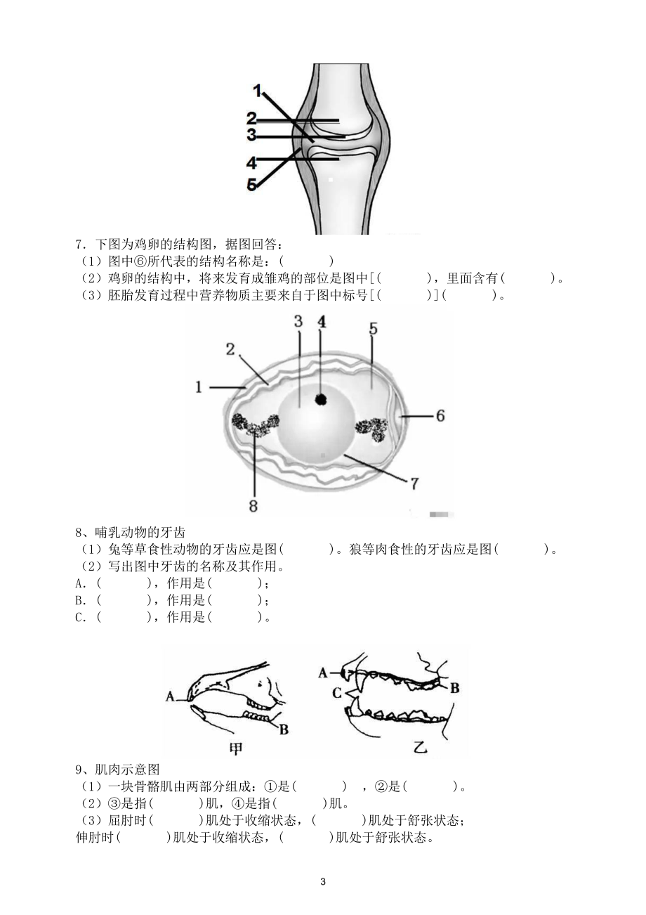 初中生物常用结构示意图填空练习（共24个必考内容）（附参考答案）.doc_第3页