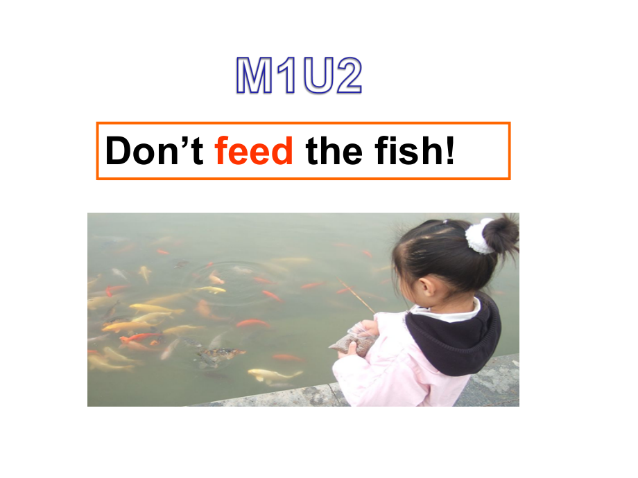 Module 1-Unit 2 Don’t feed the fish!-公开课ppt课件-(含教案+视频)--外研版四年级下册英语（一起）-(编号：2017f).zip