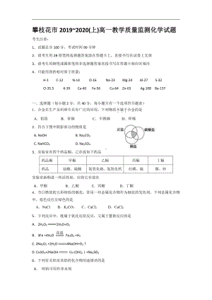 四川省攀枝花市2019-2020学年高一上学期普通高中教学质量监测化学试题.doc