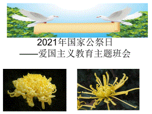 2021年国家公祭日 ppt课件-高中爱国主义教育主题班会.ppt