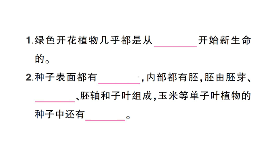 2021新教科版四年级下册科学期末复习一 植物的生长变化ppt课件.ppt_第2页