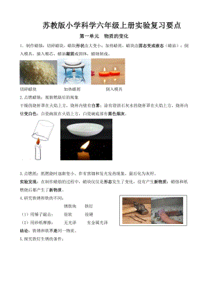 （2021）苏教版六年级上册科学实验复习要点.doc