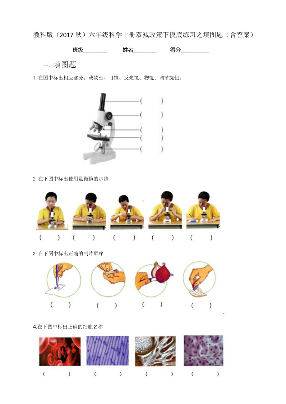 （2021）教科版六年级上册科学双减政策下专项摸底练习之填图题（含答案）.pdf_第1页