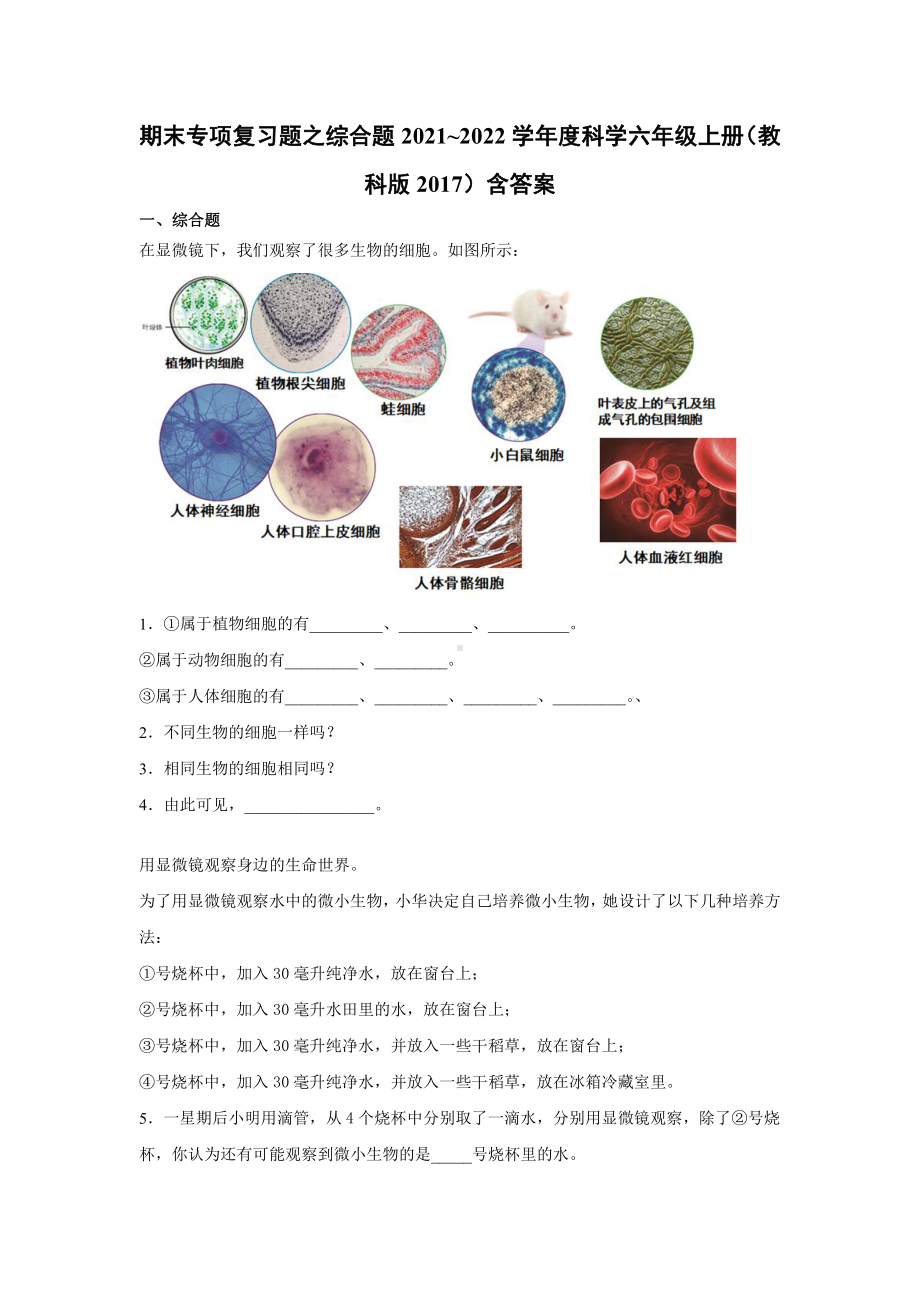 （2021）教科版六年级上册科学期末专项复习题之选择题（含答案）.docx_第1页