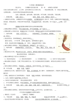 人教版八年级上册生物复习资料全.doc