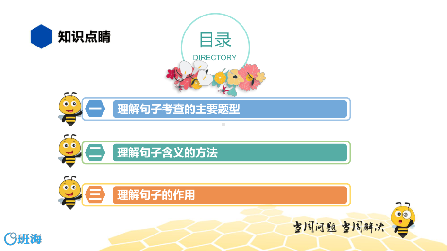 语文九年级 （知识精讲）3.句子(5)理解句子.pptx_第2页