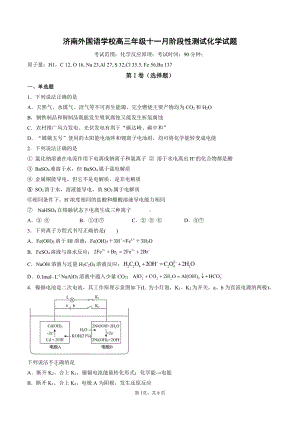 2022届山东省济南外国语学校高三考试试题化学及答案.pdf