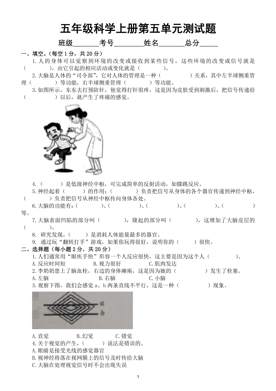 小学科学苏教版五年级上册第五单元《人体司令部》测试题2（附参考答案）.docx（4页）_第1页