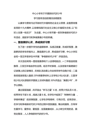 中心小学关于开展新时代好少年学习宣传活动的情况说明报告.docx