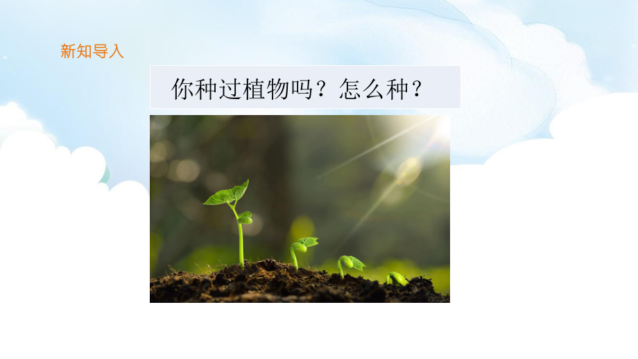 2020新教科版四年级下册科学1.2种植凤仙花ppt课件.ppt_第2页