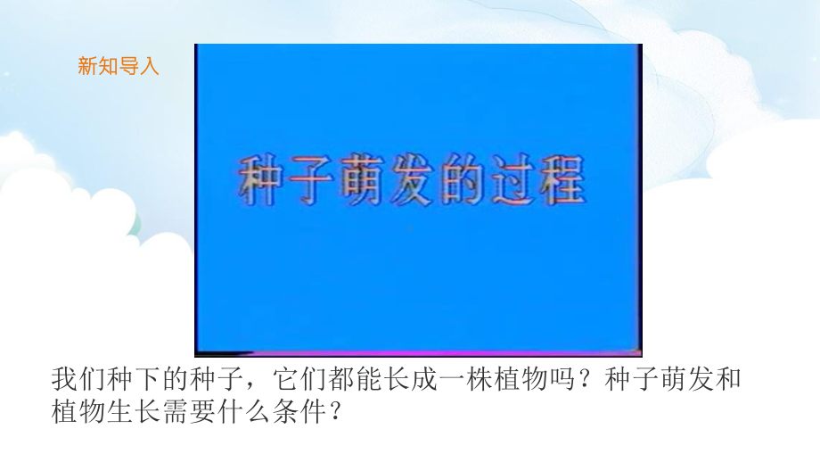 2020新教科版四年级下册科学1.2种植凤仙花ppt课件.ppt_第3页