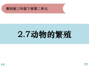 2020新教科版三年级下册科学2.7《动物的繁殖》ppt课件.pptx