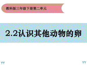 2020新教科版三年级下册科学2.2 认识其他动物的卵ppt课件.pptx