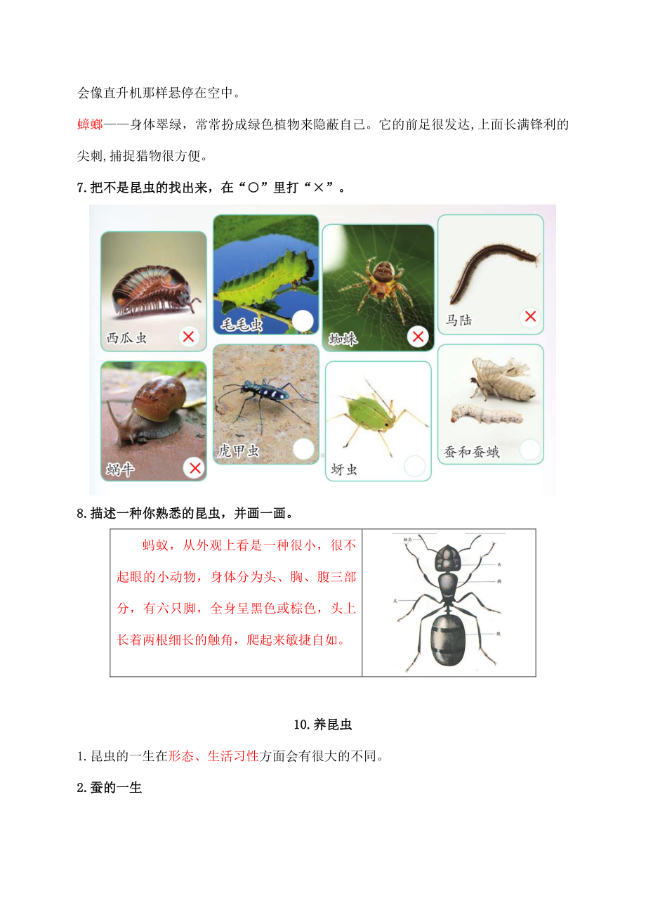 2021新苏教版四年级下册《科学》第三单元《昆虫》知识点整理.docx_第2页