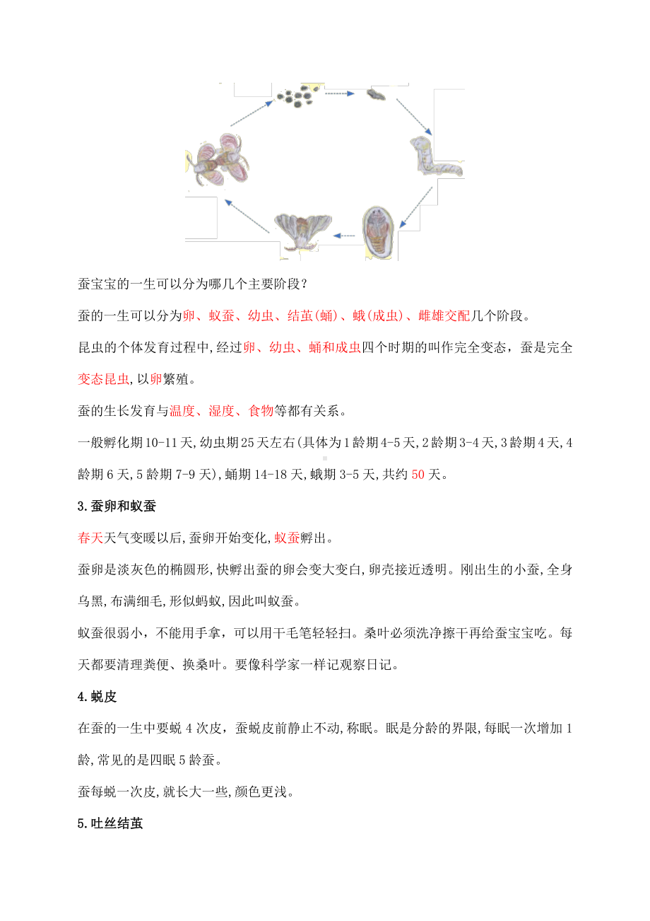 2021新苏教版四年级下册《科学》第三单元《昆虫》知识点整理.docx_第3页