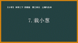 南京市苏教版科学二年级下册第三单元《土壤与生命》全部课件（共3课时）.pptx