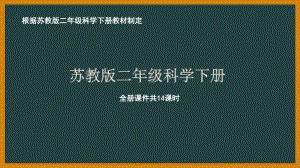 南京市苏教版小学科学二年级下册全册全部课件（共14课时）.pptx