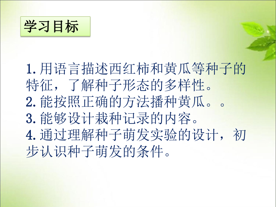 南京市苏教版科学三年级下册第一单元《植物的一生》全部课件（共4课时）.pptx_第3页