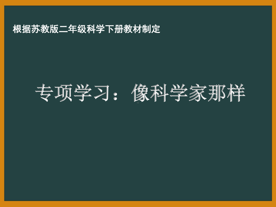 南京市苏教版小学科学二年级下册《专项学习：像科学家那样》课件.ppt_第1页