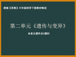 南京市苏教版科学六年级下册第二单元《遗传与变异》全部课件（共3课时）.pptx