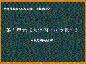 南京市苏教版科学五年级下册第五单元《人体的“司令部”》全部课件（共3课时）.pptx