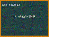 杭州市教科版一年级科学下册第二单元《6.给动物分类》课件.ppt