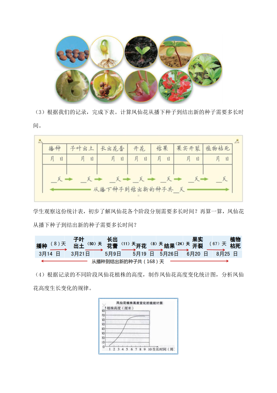 2021新教科版四年级下册科学1.8凤仙花的一生教案.docx_第3页