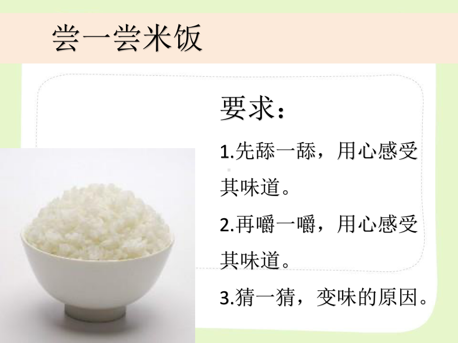 杭州市教科版六年级科学下册第二单元《2.3米饭、淀粉和碘酒的变化》课件.pptx_第3页