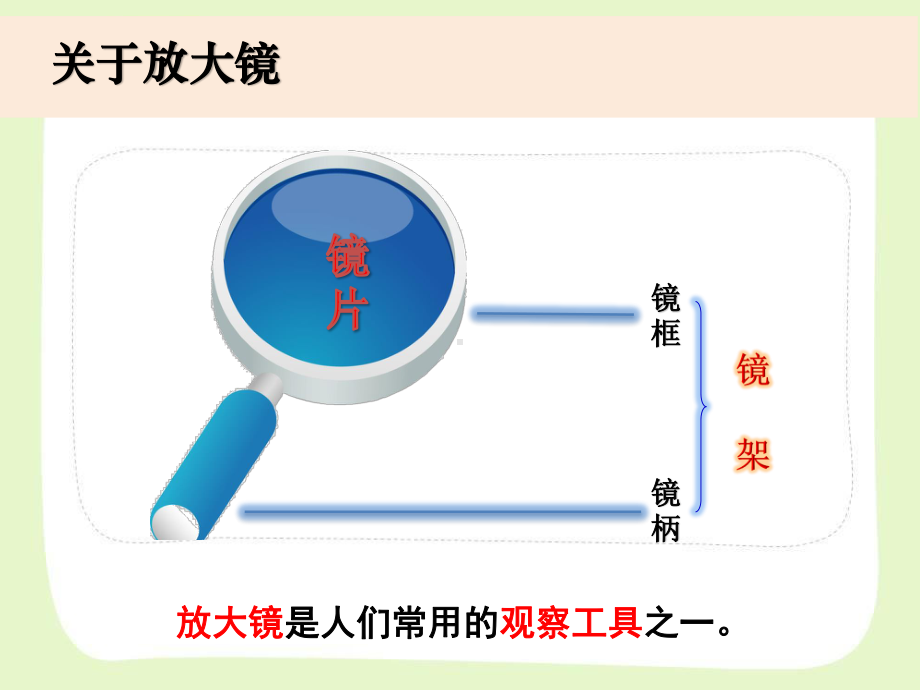 杭州市教科版六年级科学下册第一单元《1.1放大镜》课件.pptx_第2页