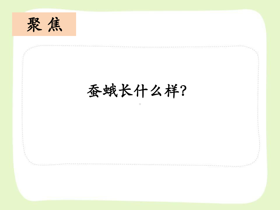 杭州市教科版三年级科学下册第二单元《2.5茧中钻出了蚕蛾》课件.ppt_第3页