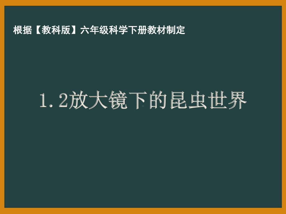 杭州市教科版六年级科学下册第一单元《1.2放大镜下的昆虫世界》课件.pptx_第1页