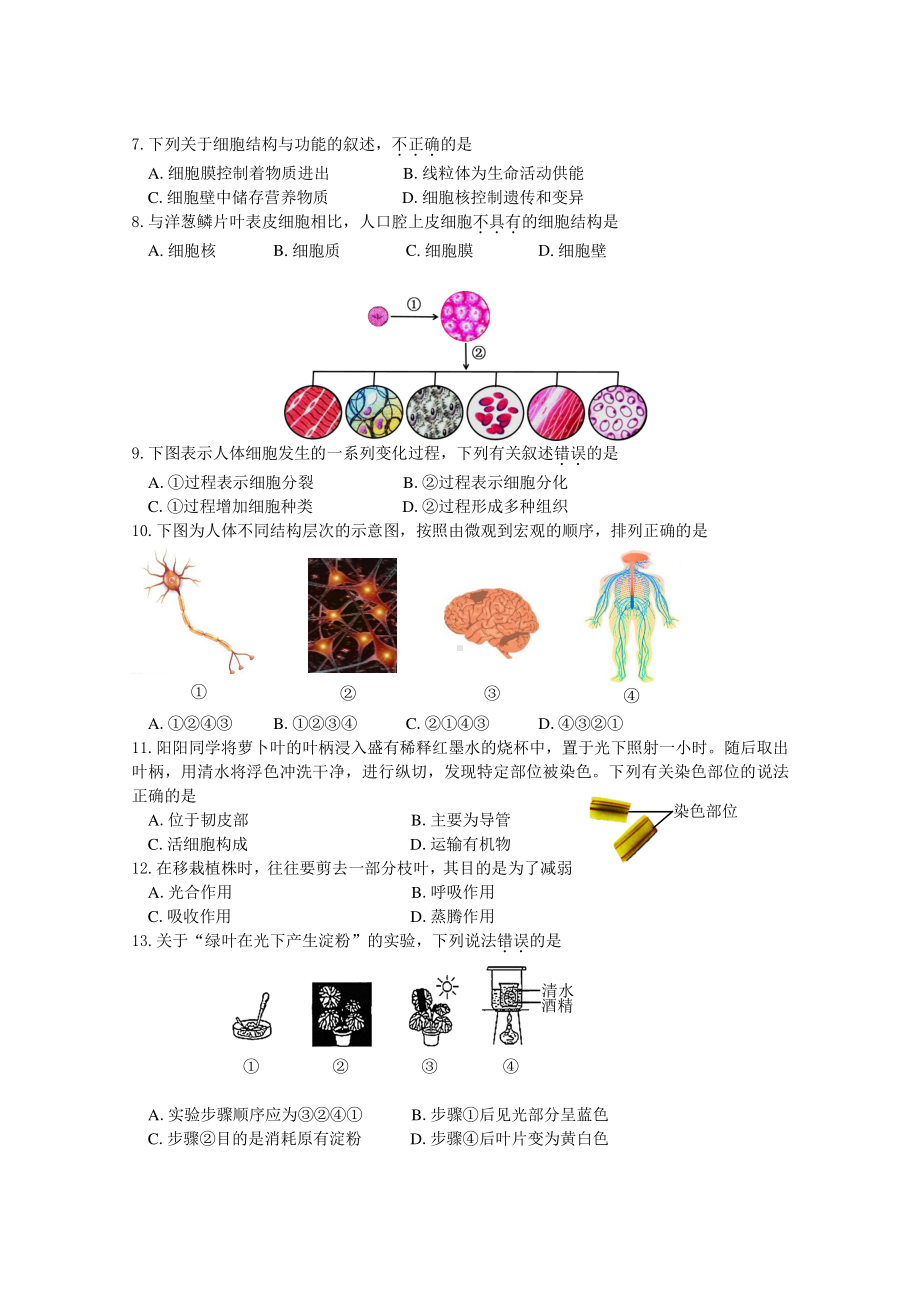 2020~2021北京市昌平区初一生物上册期末质量监控试题及答案（终稿）.docx_第2页