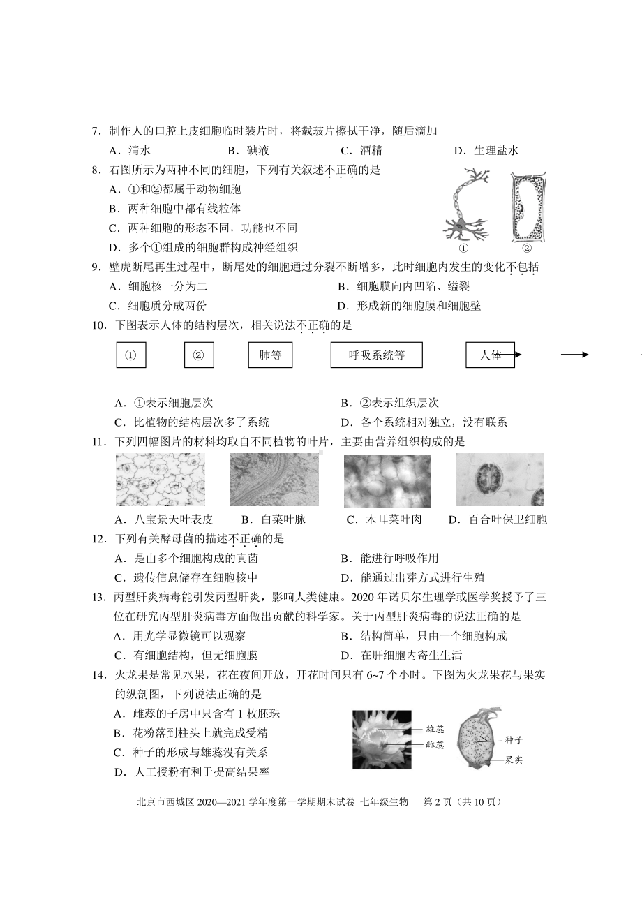 2020~2021北京市西城区初一生物上册期末质量监控试题及答案（终稿）.docx_第2页