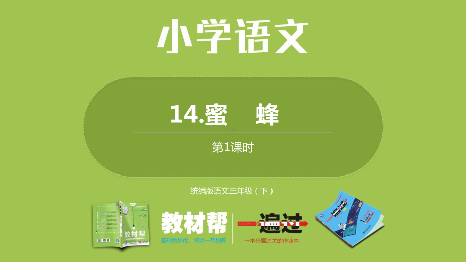 统编版语文三年级（下）第4单元《蜜蜂》课时1.pptx_第1页