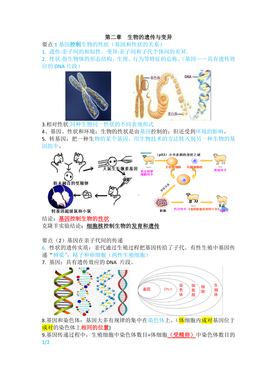 人教版八年级生物下册期末知识点梳理总复习.docx_第2页