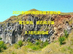 2021新教科版四年级下册科学3.3岩石的组成课件 .ppt