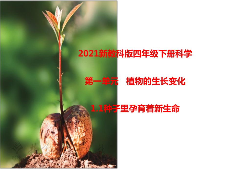 2021新教科版科学四年级下册第一、二单元课件 .pptx_第1页