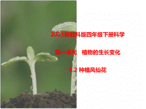 2021新教科版四年级下册科学1.2种植风仙花课件.pptx