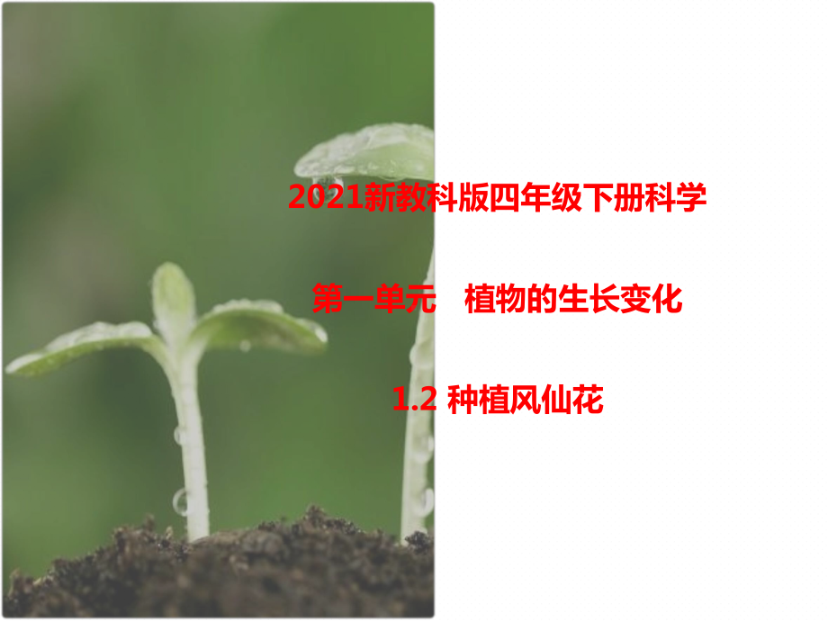 2021新教科版四年级下册科学1.2种植风仙花课件.pptx_第1页