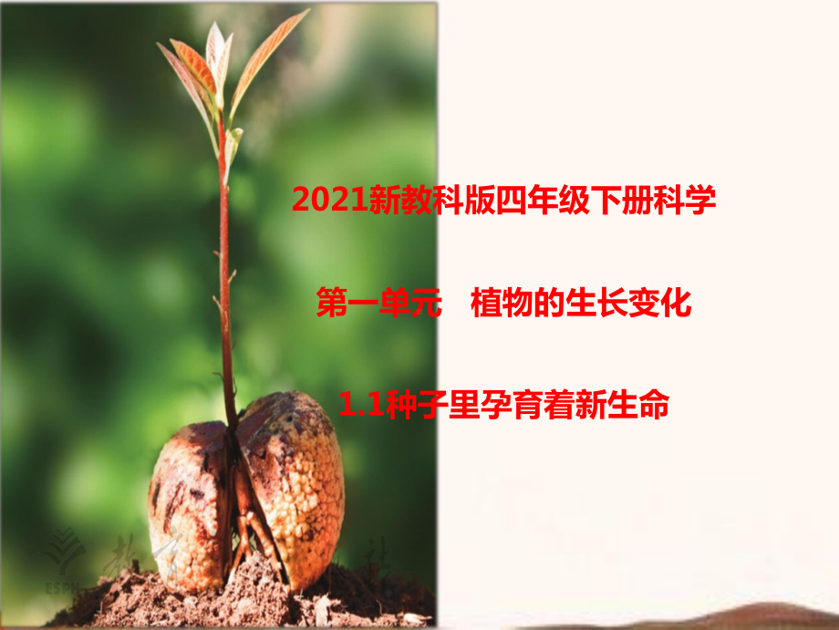 2021新教科版四年级科学下册全册PPT课件.pptx_第1页