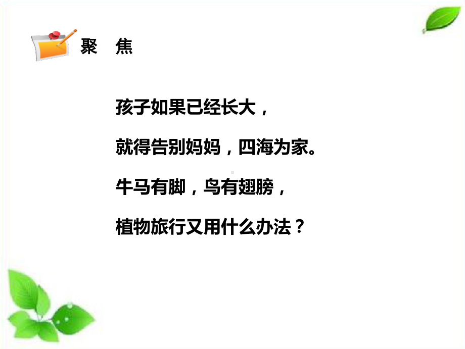 2021新教科版四年级下册科学1.7种子的传播课件.pptx_第2页