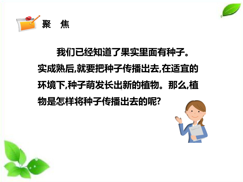 2021新教科版四年级下册科学1.7种子的传播课件.pptx_第3页